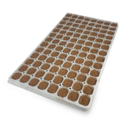 Cannsa Plug Tray, 104 Plugs