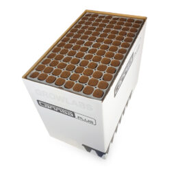 Cannsa Plug Tray, 104 Plugs (Karton mit 12 Stück)