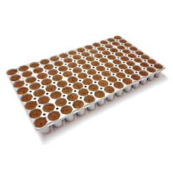 Cannsa Tray, H, 104 Plugs